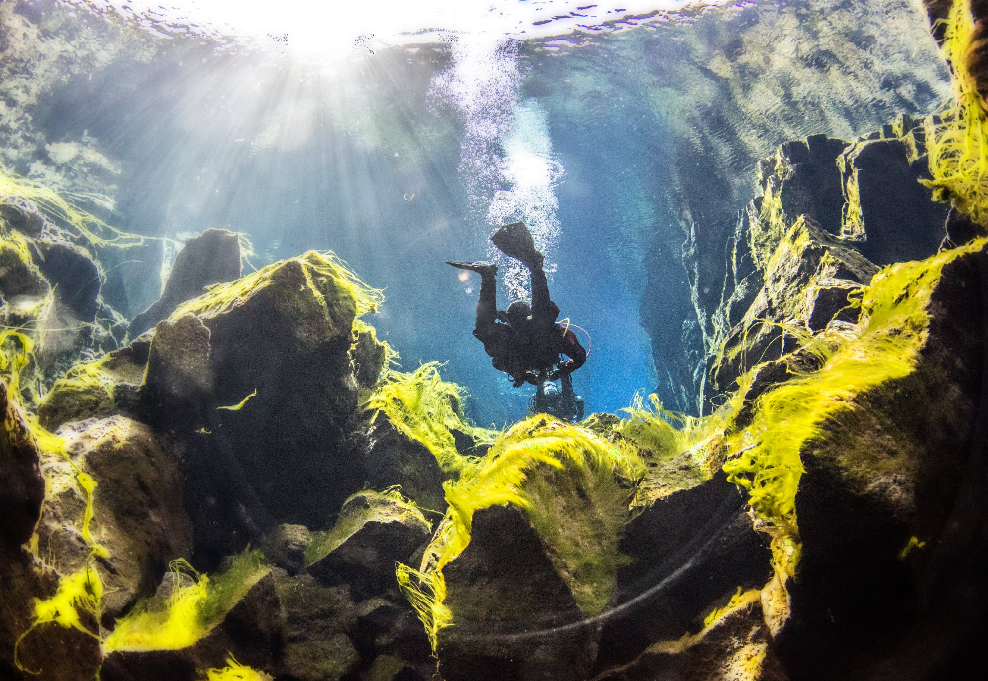 Silfra red drysuit diver