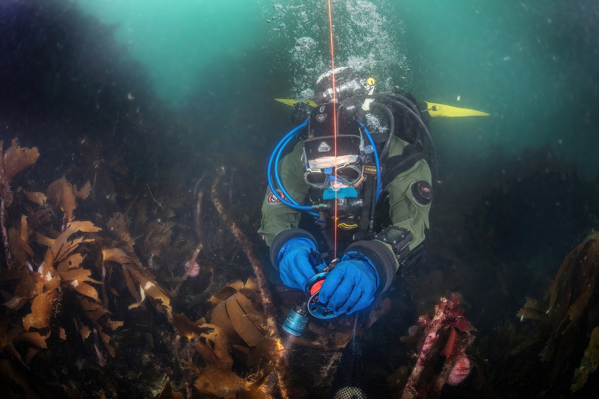 Dive anywhere Iceland custom tour